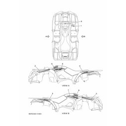 GRAPHIC, REAR (LH)