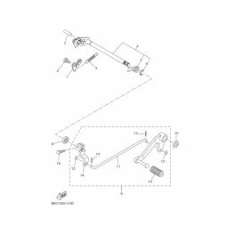 SHIFT PEDAL ASSY