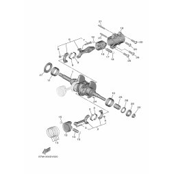 PIN, PISTON