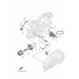 OIL COOLER ASSY