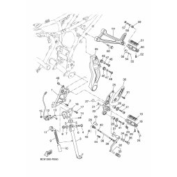 COVER 1