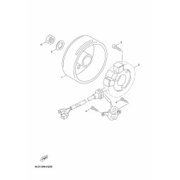 STATOR