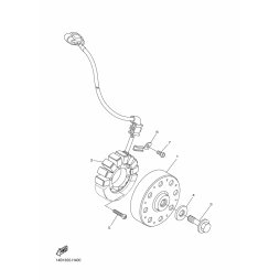 STATOR KOMPL.
