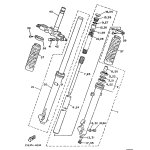 INNERES GABELBEINROHR 1