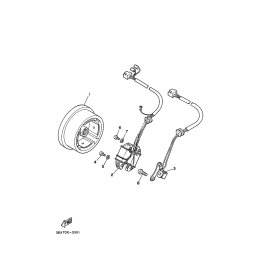 STATOR KOMPL.