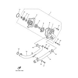 ROHR 1