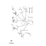 STAY, IGNITION COI