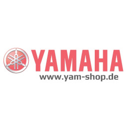 DRUCKSCHEIBE 2