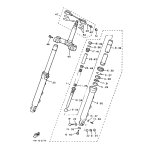 INNERES GABELBEINROHR 1