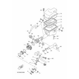 CAP, INJECTOR