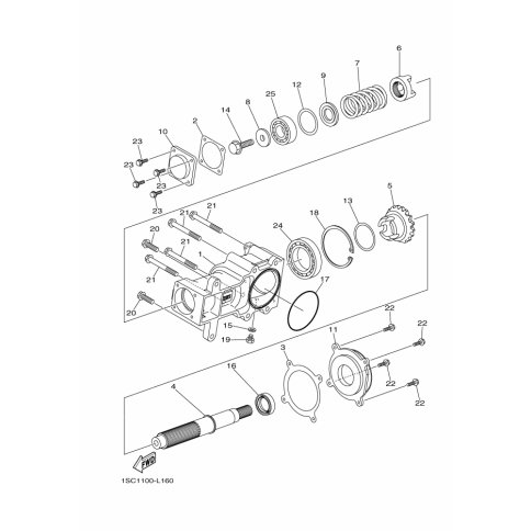 CASE, TRANSFER 1