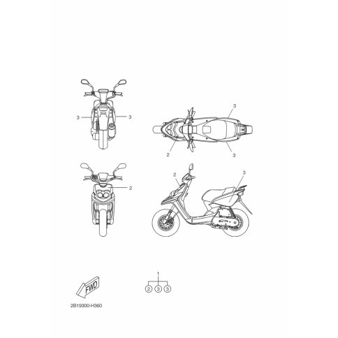 GRAPHIC, 2