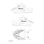 GRAPHIC, SHROUD