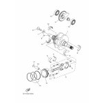 CRANKSHAFT ASSY