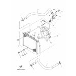 RADIATOR ASSY