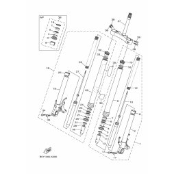 FRONT FORK ASSY (R.H)