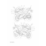 GRAPHIC 7
