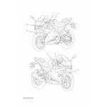 GRAPHIC 16