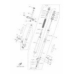 INNERES GABELBEINROHR 2