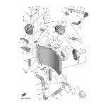 ROHR 1