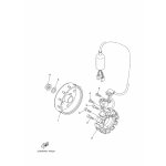 STATOR KOMPL.