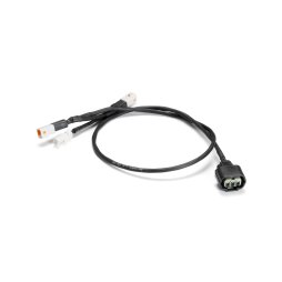 GYTR® R3 Adapter Cable (2019>)