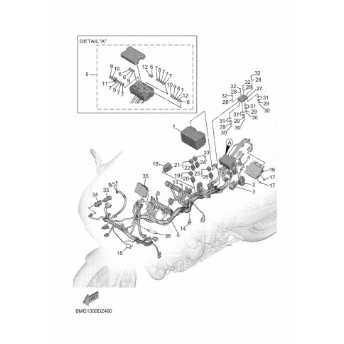 MODUL ZUR KORPERKONTROLLE