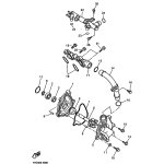 RIEMENSCHEIBE 2