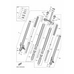 INNERES GABELBEINROHR 2