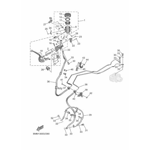 OLSCHRAUBE 1