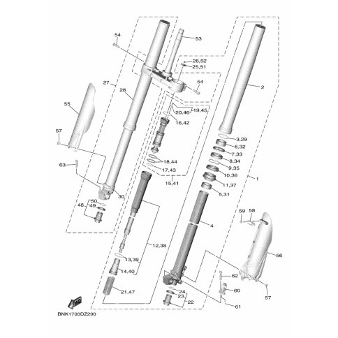 INNERES GABELBEINROHR 2