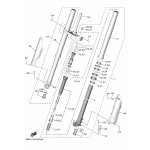 INNERES GABELBEINROHR 2