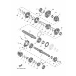 ZAHNRAD, 5. GANG (25Z)