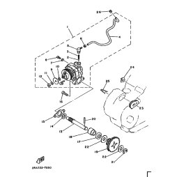 ANTRIEBSRAD, PUMPE