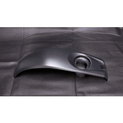 R125 Tankverkleidung *Gebrauchtteil