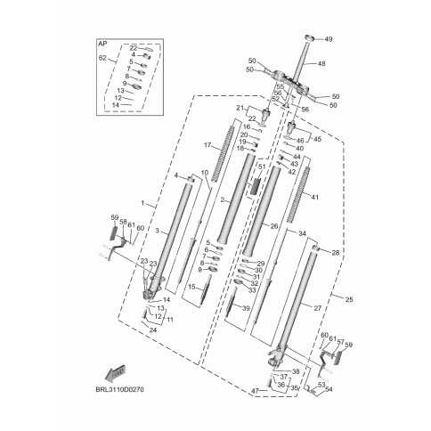 INNERES GABELBEINROHR 1