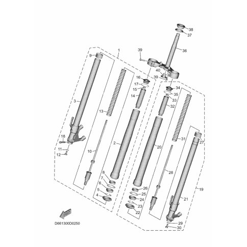 INNERES GABELBEINROHR 1