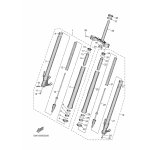 INNERES GABELBEINROHR 1