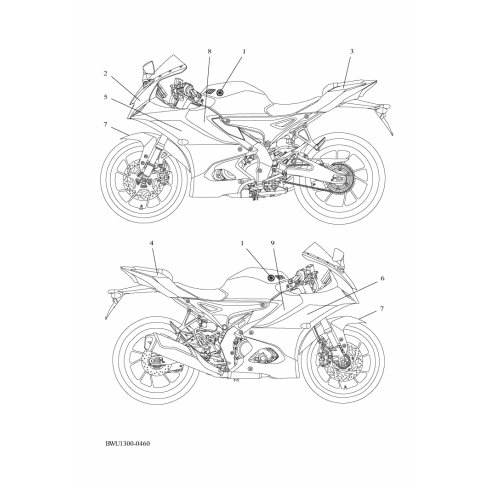 GRAPHIC, 17