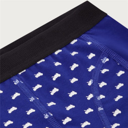 Paddock Blue Jungen Unterwäsche-Geschenkset