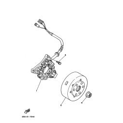 STATOR KOMPL.