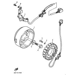 STATOR KOMPL.