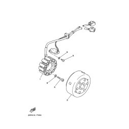STATOR KOMPL.
