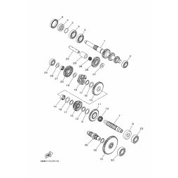OIL SEAL
