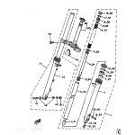 INNERES GABELBEINROHR 1