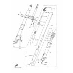 AUSSERES GABELBEINROHR (R)