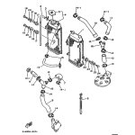 ROHR 1