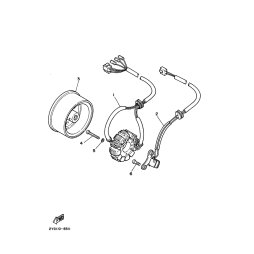 STATOR KOMPL.