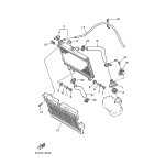 ROHR 2