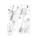 INNERES GABELBEINROHR 1